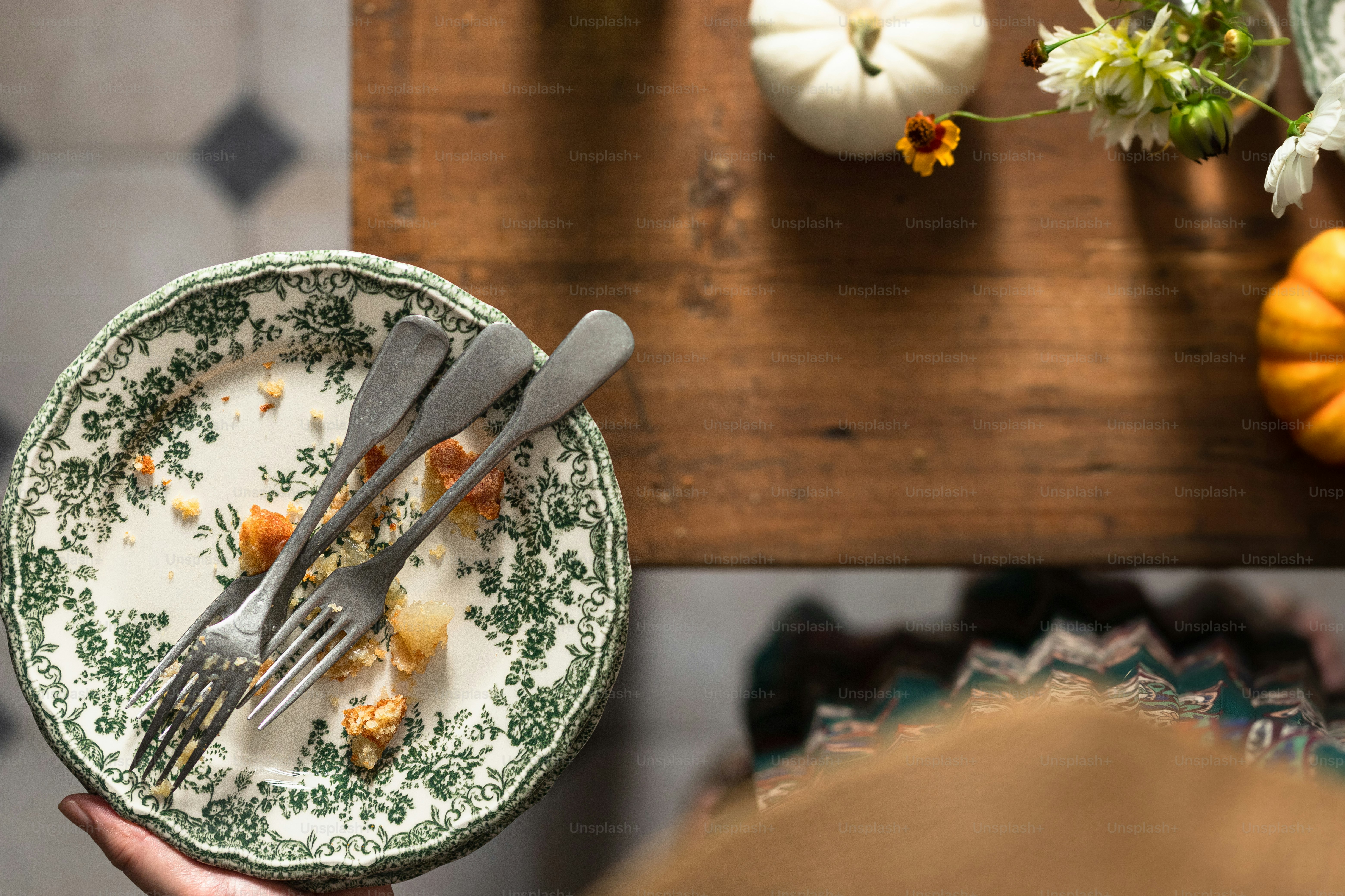 a person holding a plate with food on it