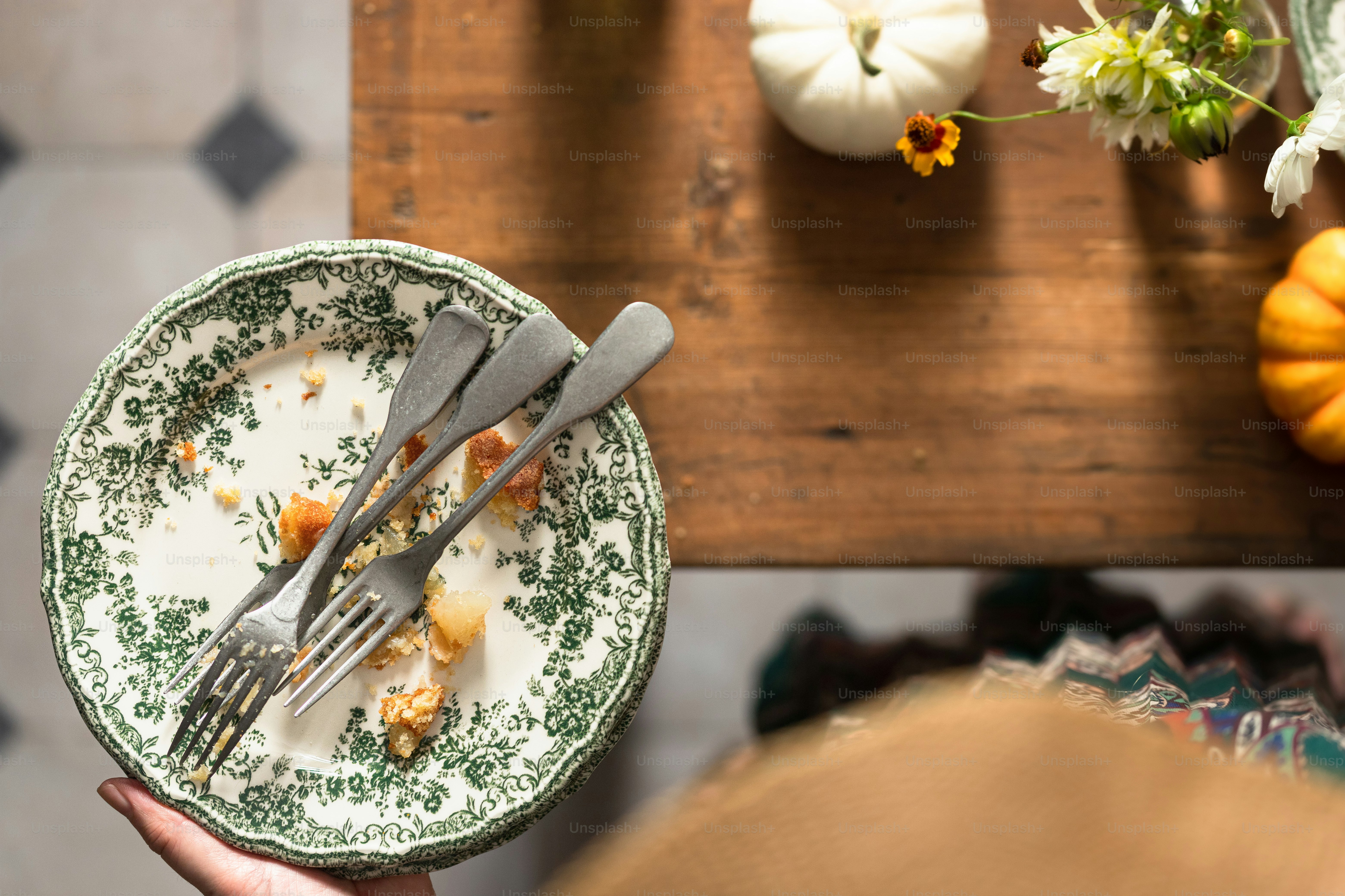 a person holding a plate with food on it