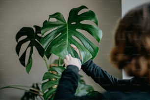 a woman touching a large green plant with her hands