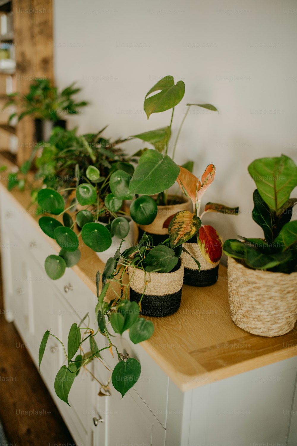 Una mesa de madera cubierta con muchas plantas