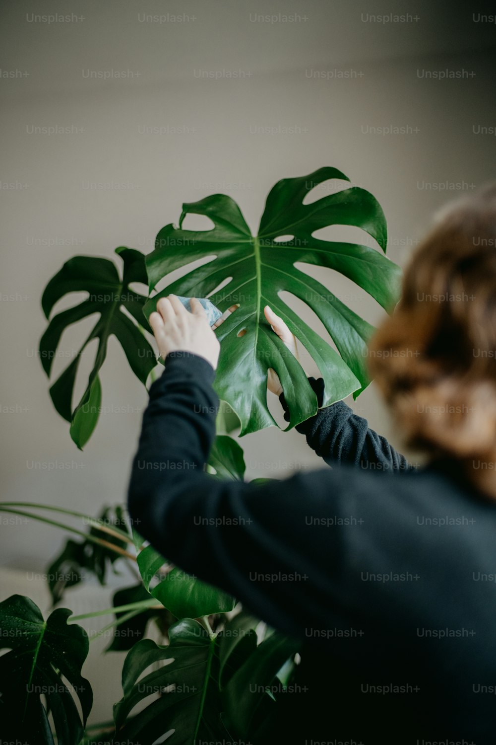 Una mujer sostiene una gran planta verde