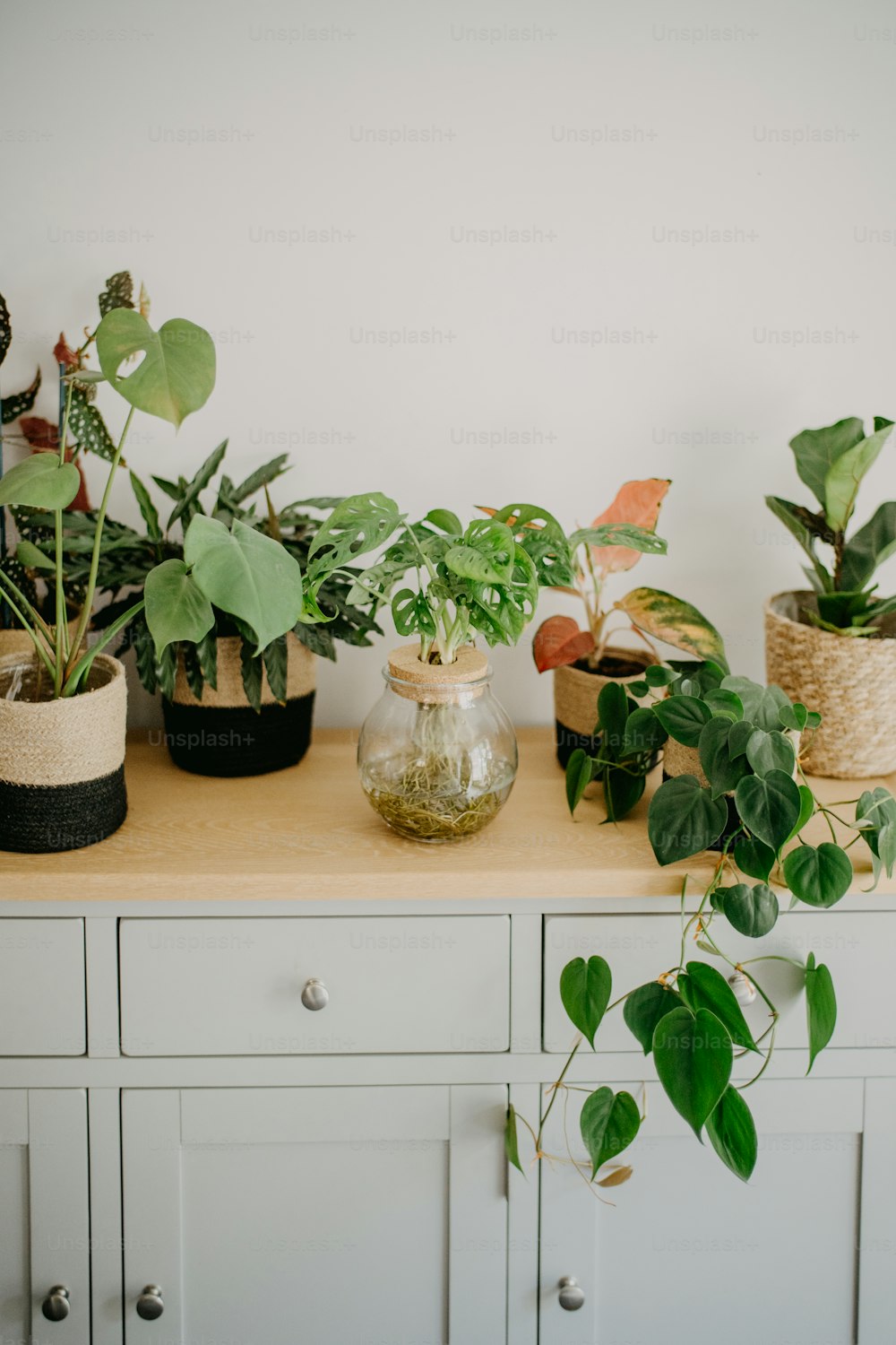 Una mesa cubierta con muchas plantas en macetas