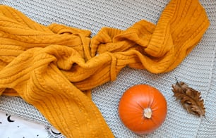 a pumpkin and a scarf on a couch