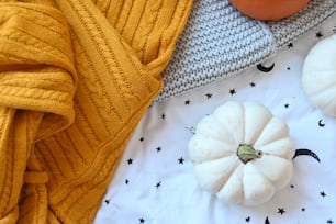 하얀 호박과 노란 스웨터를 얹은 테이블