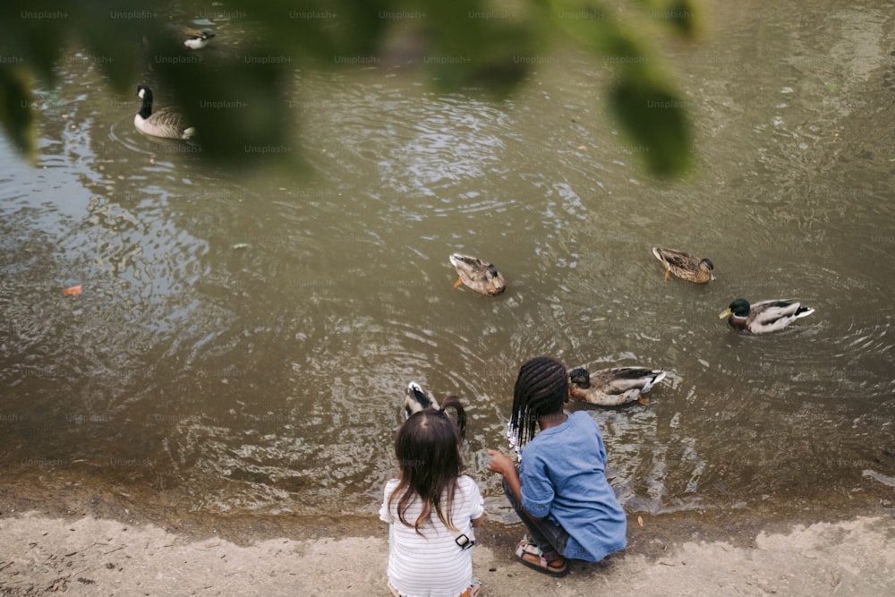 a man and a little girl are looking at ducks in the water