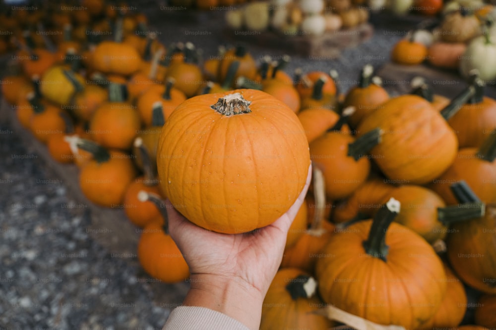 a person holding a pumpkin in front of a bunch of pumpkins
