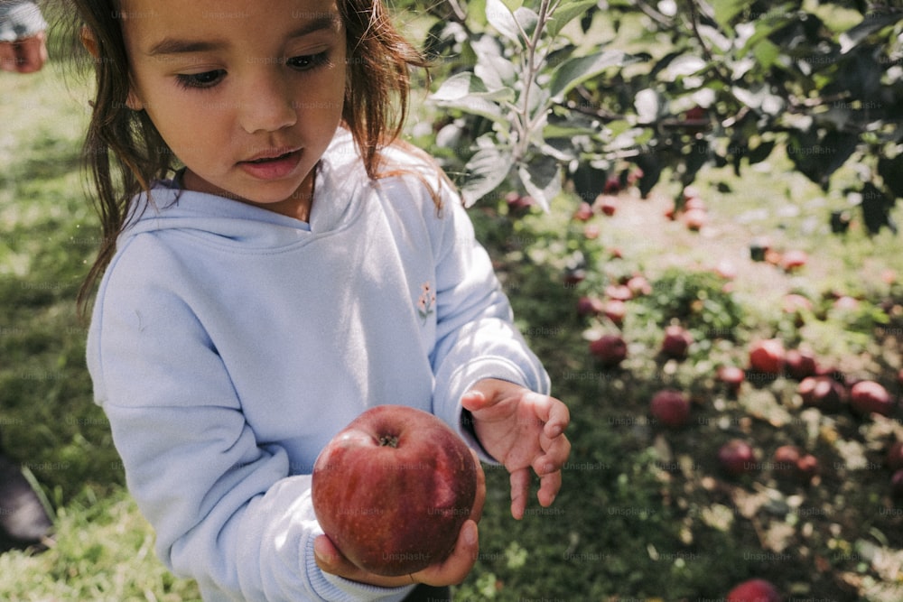 uma menina colhendo uma maçã de uma árvore