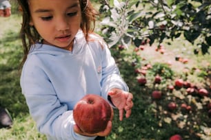 a little girl picking an apple from a tree