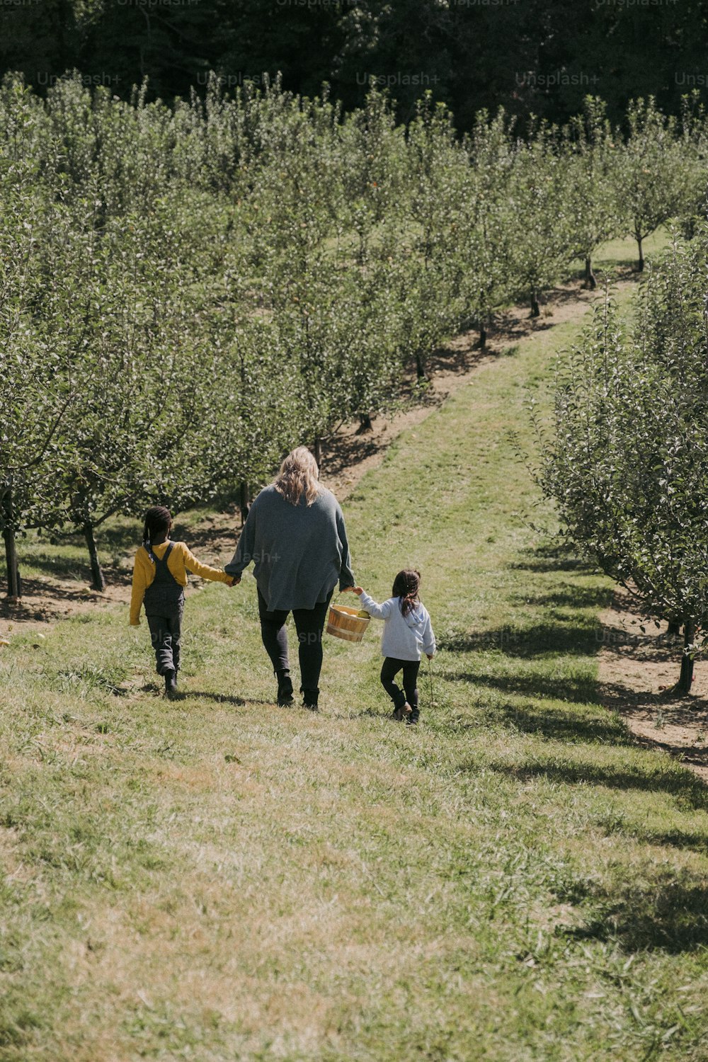 a woman and two children walking through an apple orchard