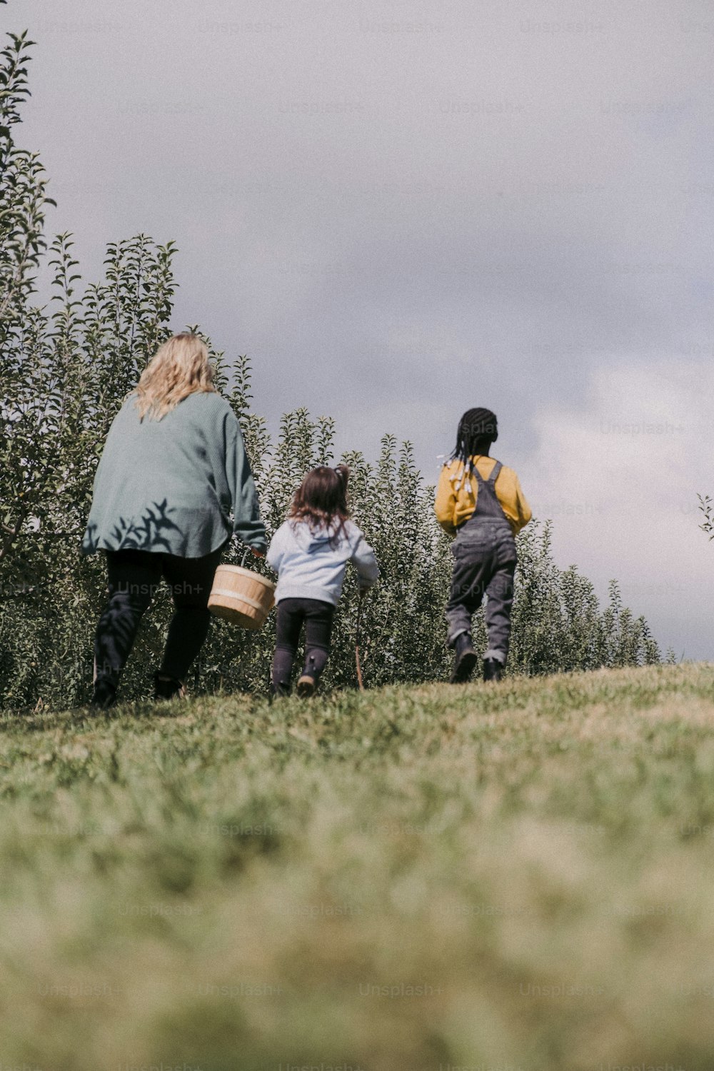 a group of people standing on top of a lush green field