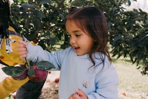 a little girl holding an apple in a tree