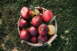 a basket filled with lots of red and yellow apples
