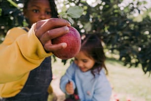 a little girl holding an apple in her hand