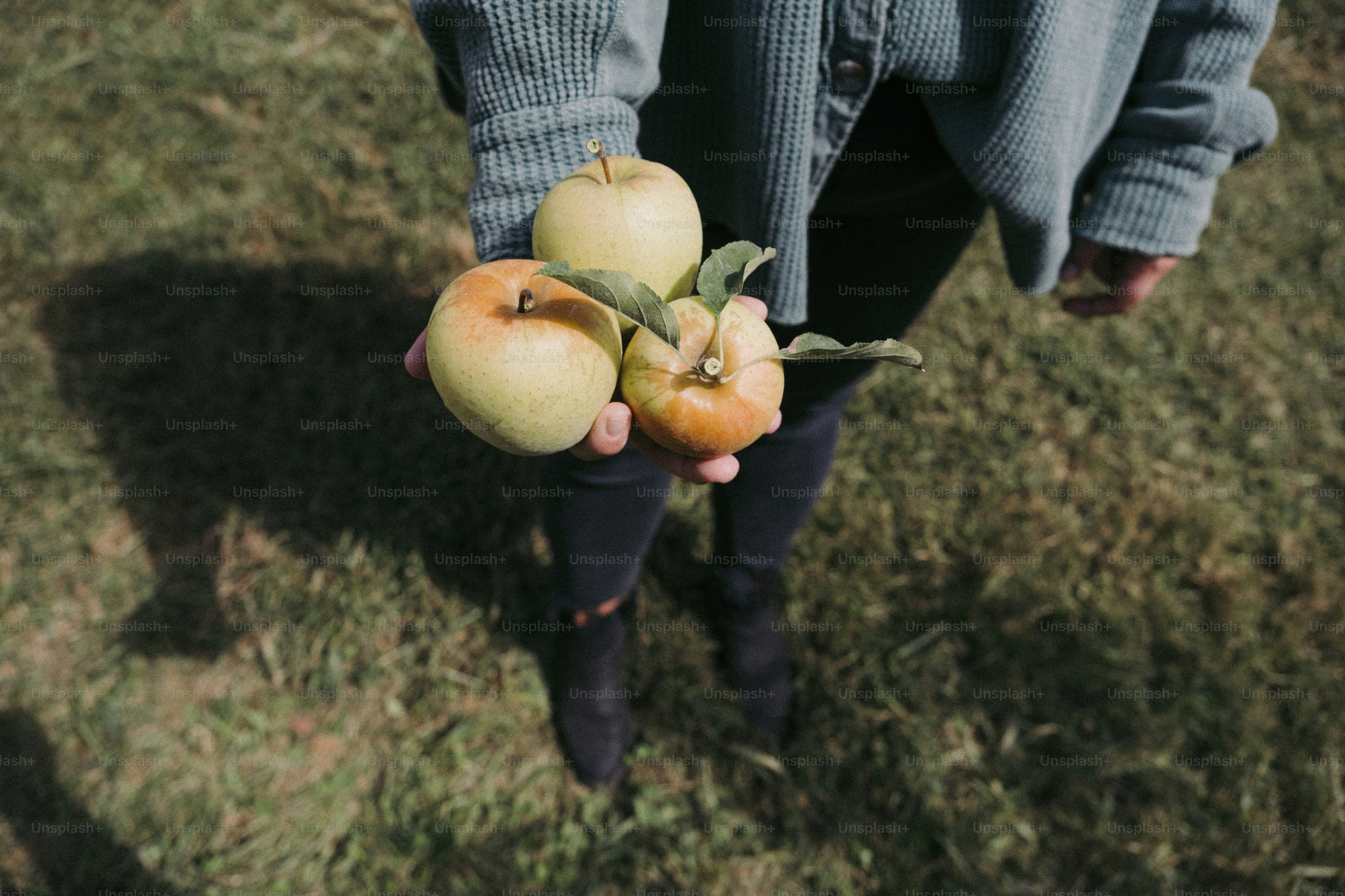 a person holding three apples in their hands