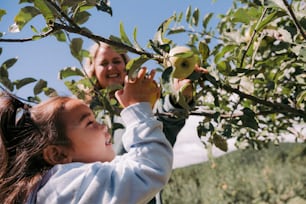 Una bambina che si avvicina per raccogliere una mela da un albero