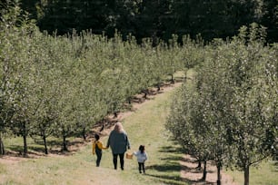リンゴ園を歩く女性と子供