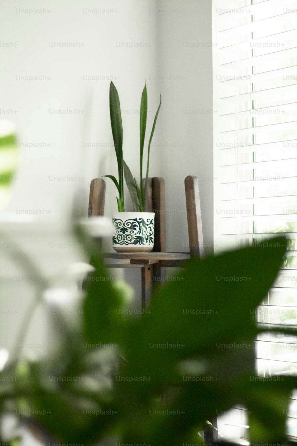 una pianta in vaso seduta sopra un tavolo di legno