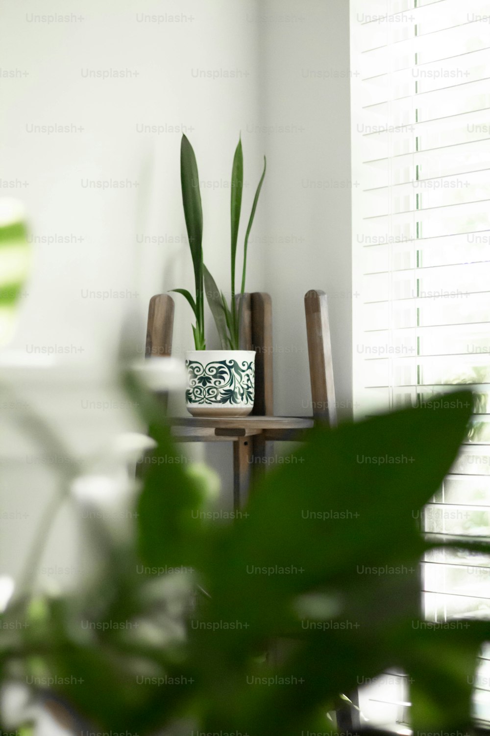 a potted plant sitting on top of a wooden table