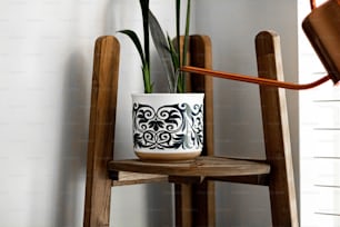 a potted plant sitting on top of a wooden chair