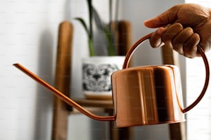 a hand holding a copper colored watering can