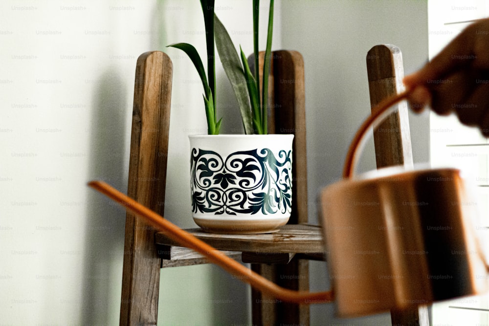 a hand holding a coffee cup with a plant in it