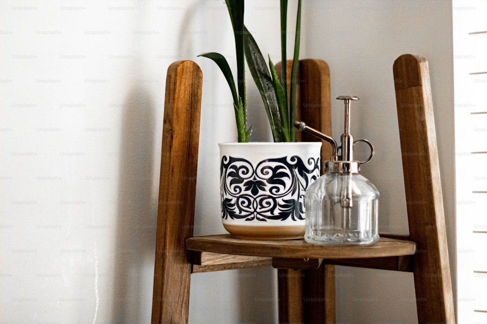 a potted plant sitting on top of a wooden shelf