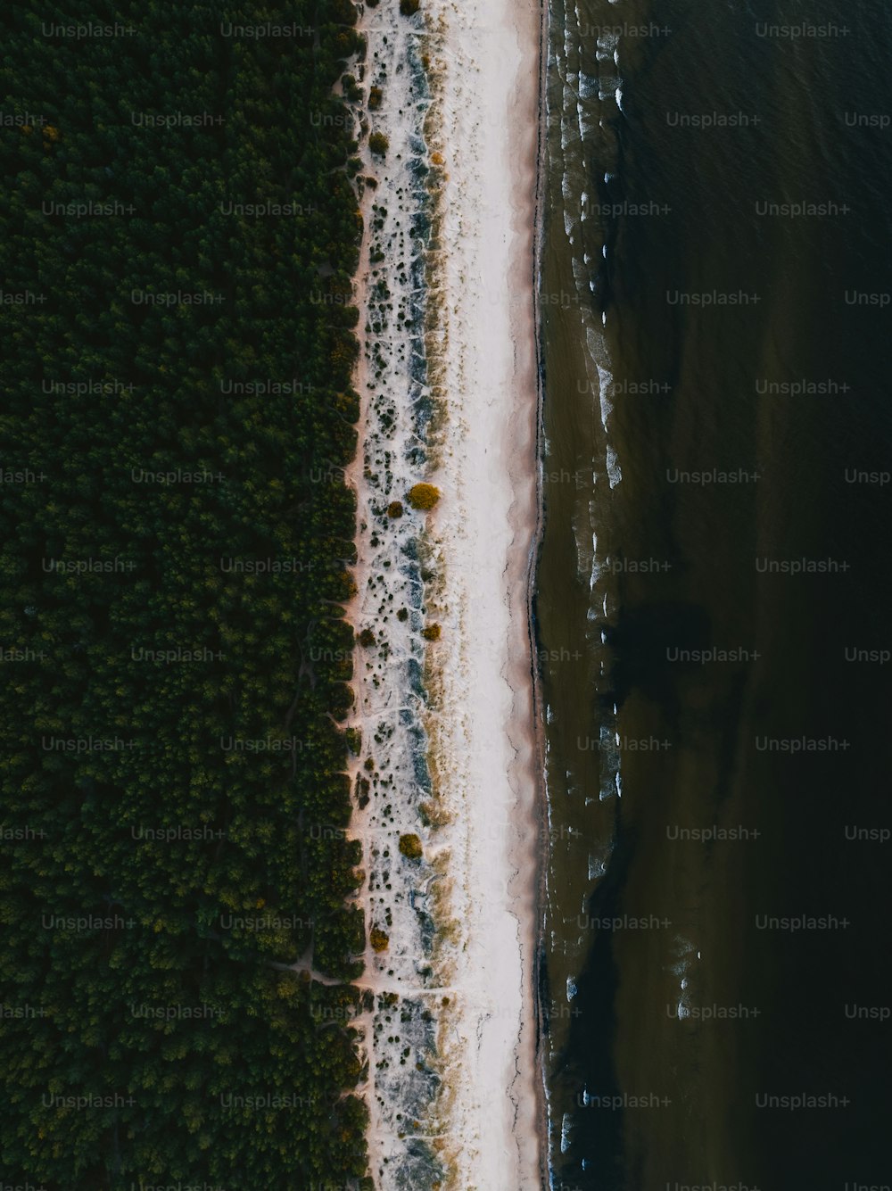 an aerial view of a beach and a body of water