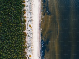 an aerial view of a beach and trees