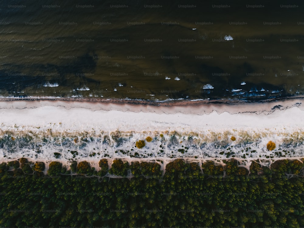 Eine Luftaufnahme von Strand und Wasser