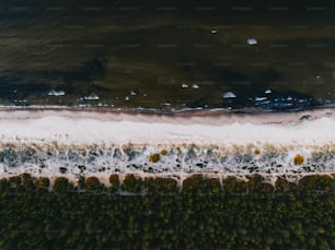 an aerial view of a beach and water