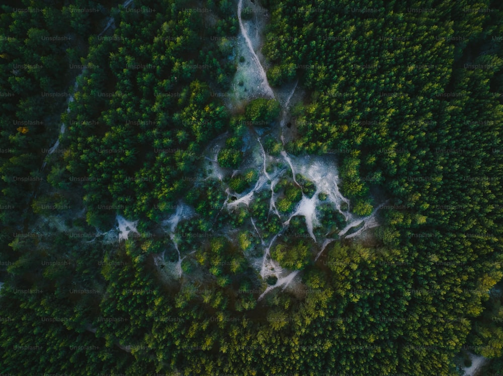 an aerial view of a forest with trees