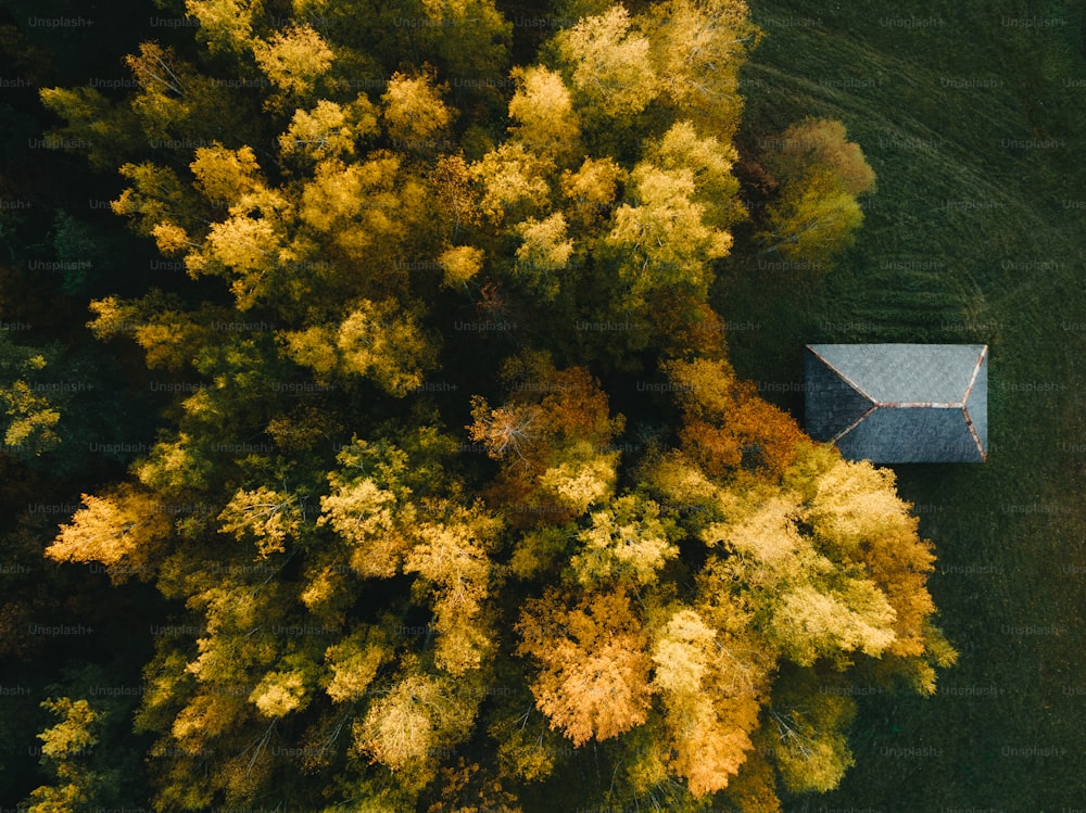 an aerial view of a house surrounded by trees