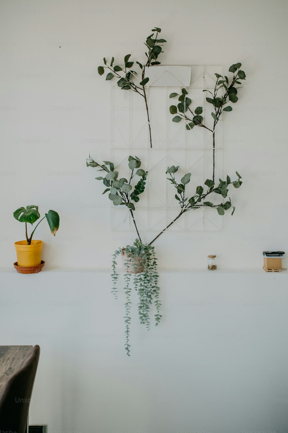 Una planta en maceta sentada encima de una mesa