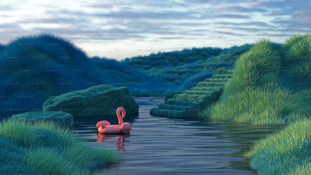 Ein rosa Flamingo, der auf einem Gewässer schwimmt