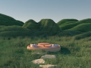 a boat in the middle of a grassy field