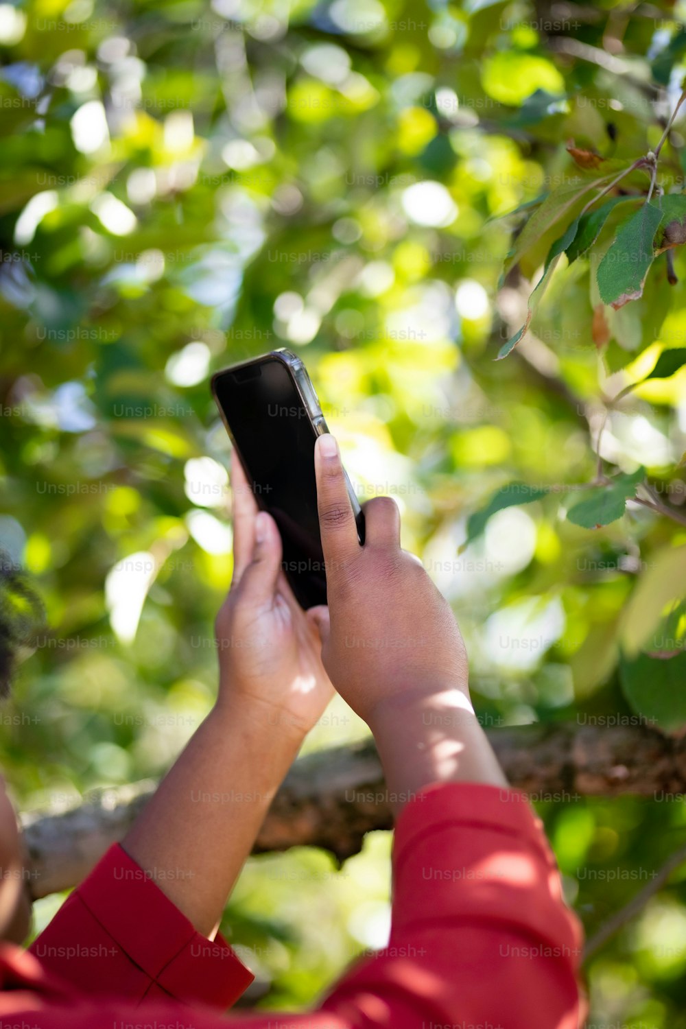 a person holding a cell phone up to a tree