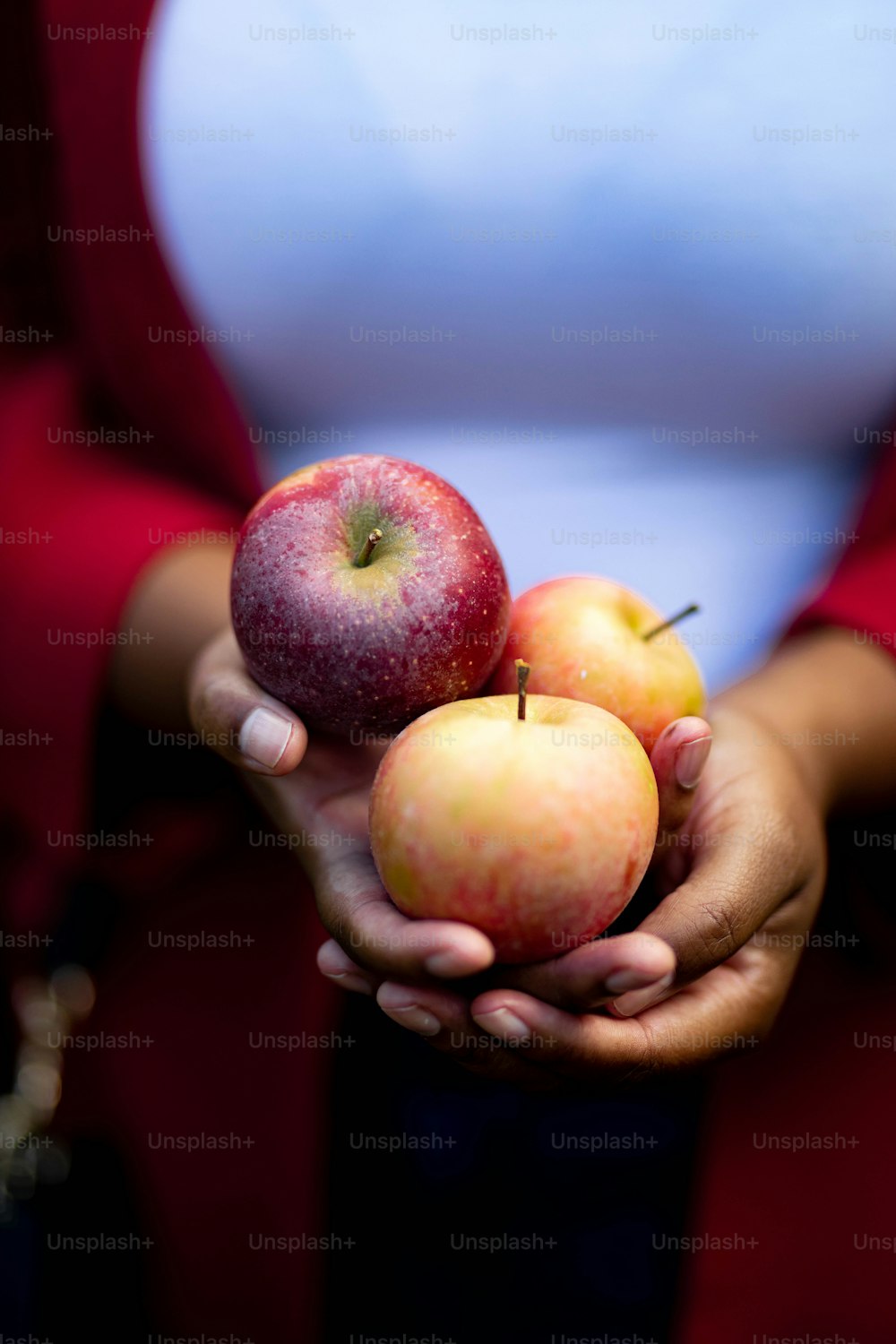 Una persona sosteniendo tres manzanas en sus manos