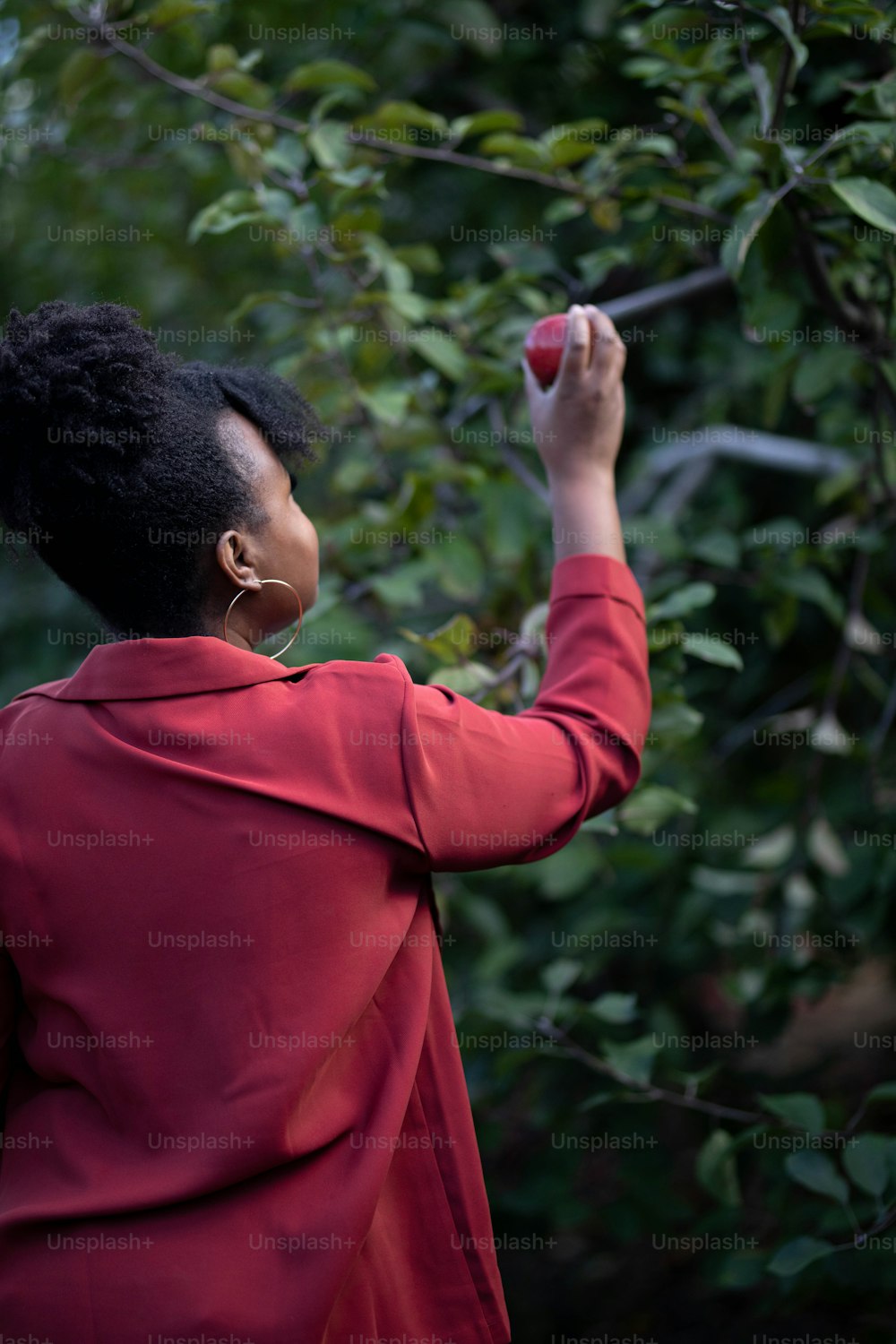 a woman in a red jacket picking an apple from a tree