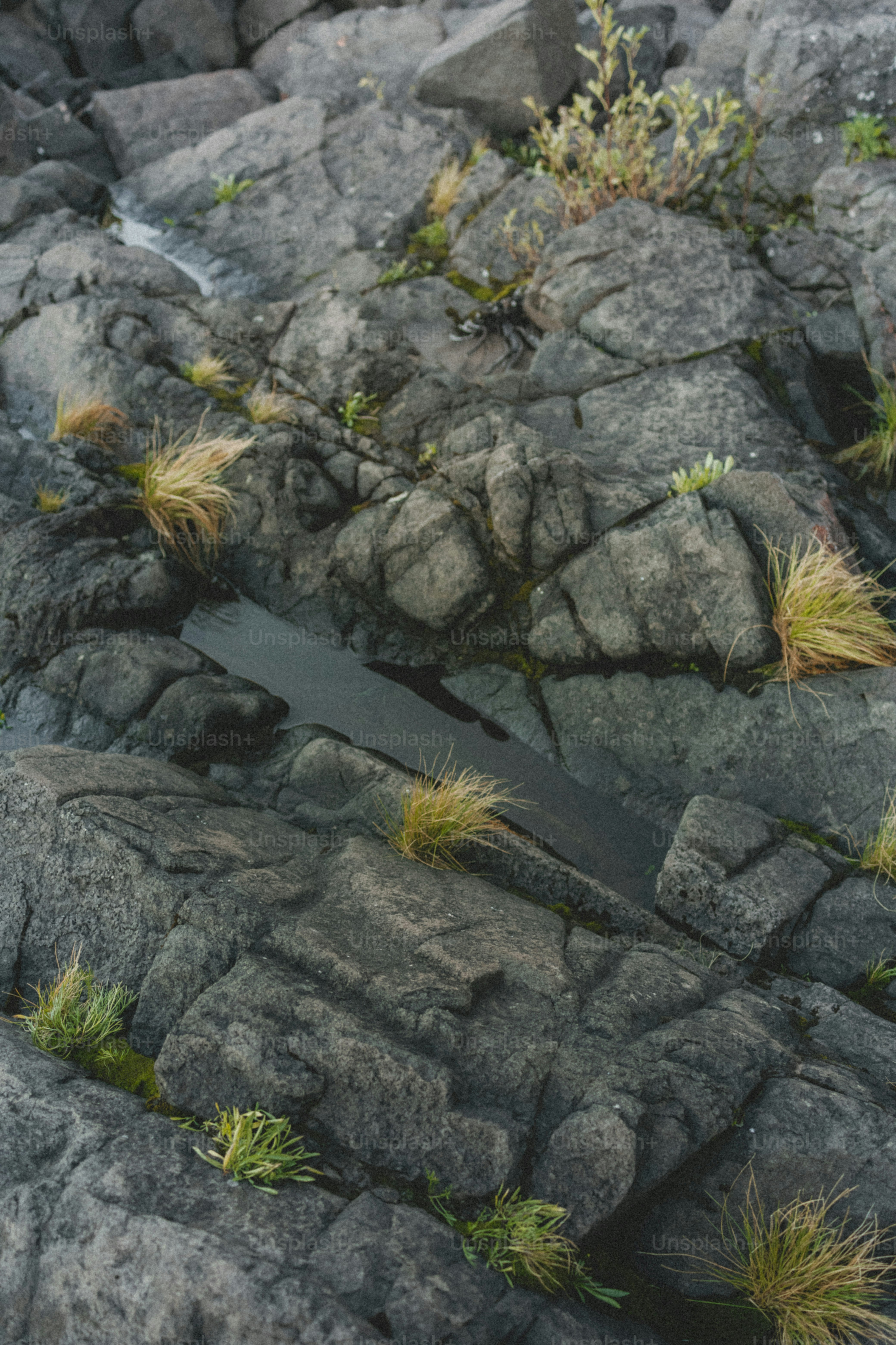 Textures of the rocks