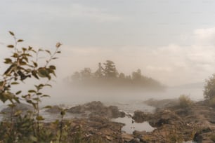 a body of water surrounded by rocks and trees