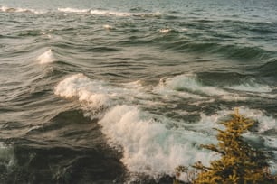 um grande corpo de água com ondas chegando à costa
