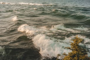 a large body of water with waves coming in to shore