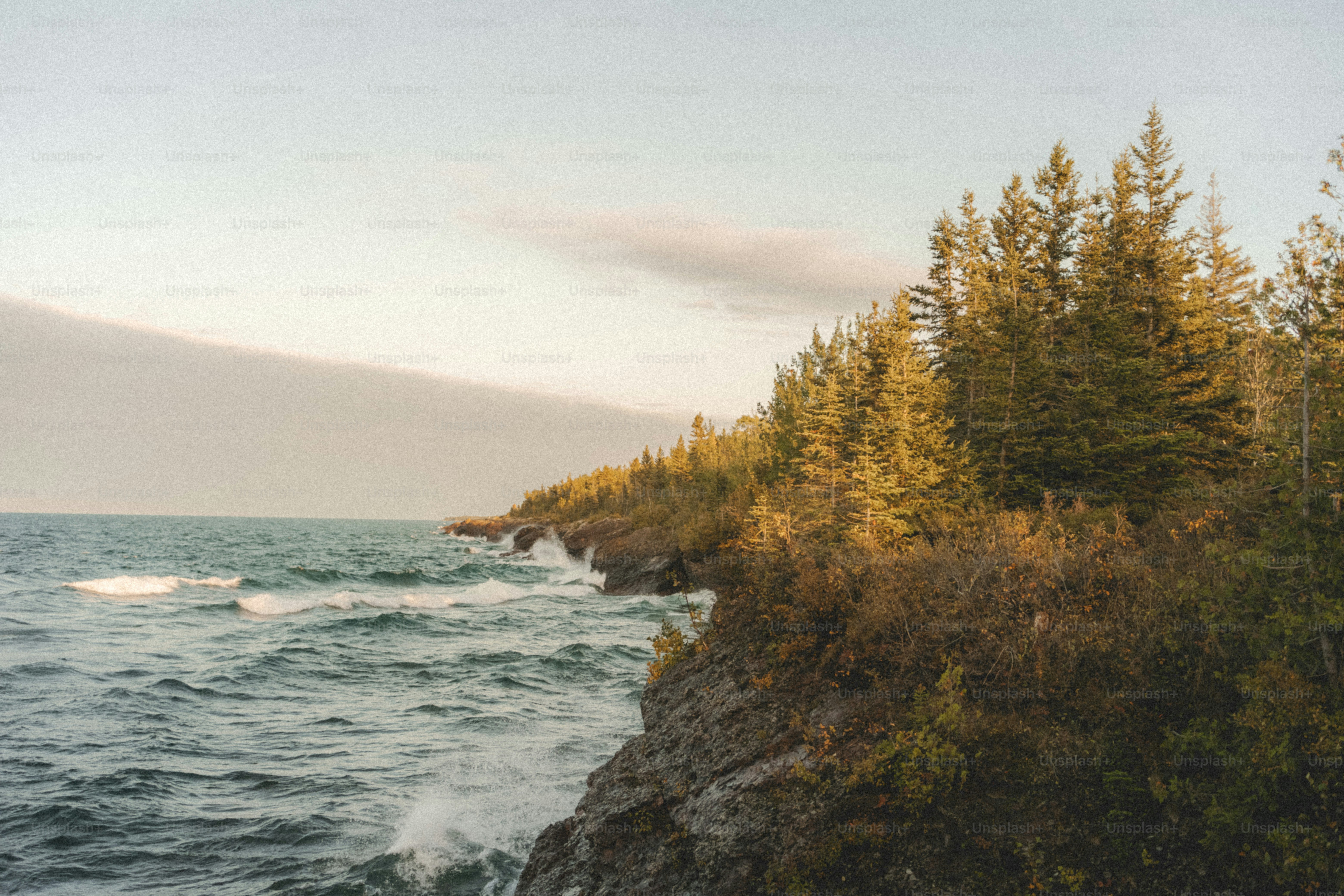 a view of a body of water with trees on the shore