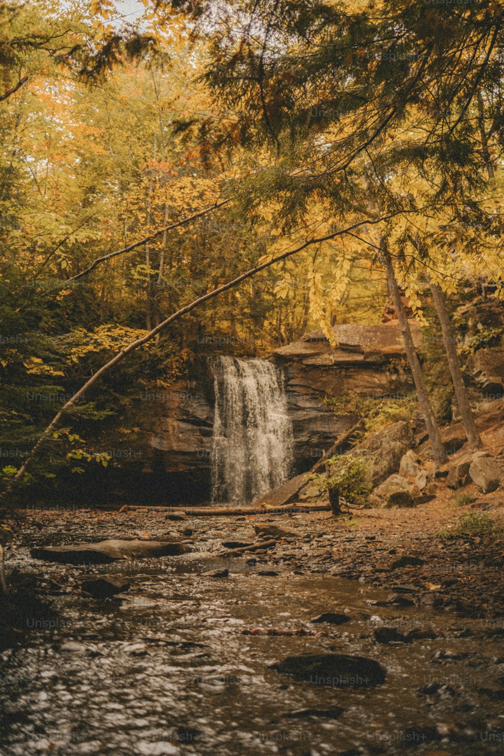 a waterfall in the woods with a man standing next to it