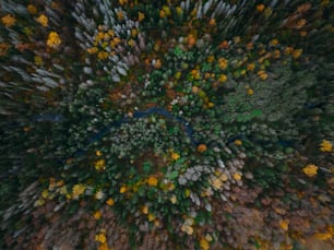 a large group of people standing in the middle of a forest