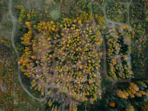 an aerial view of a forest with lots of trees