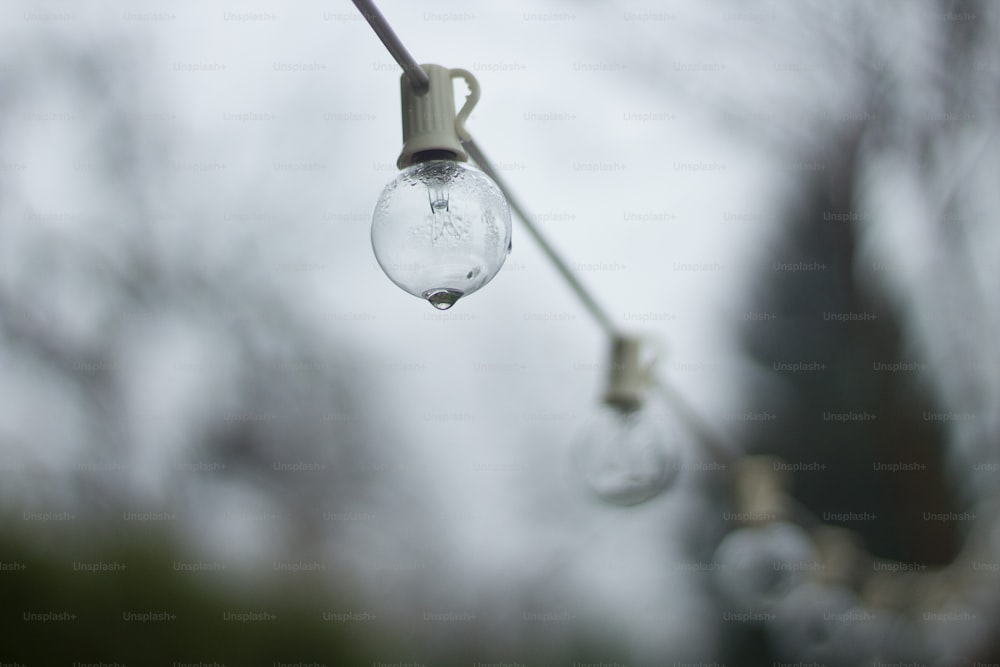 quelques ampoules suspendues à un fil