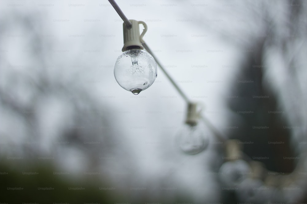 a couple of light bulbs hanging from a wire