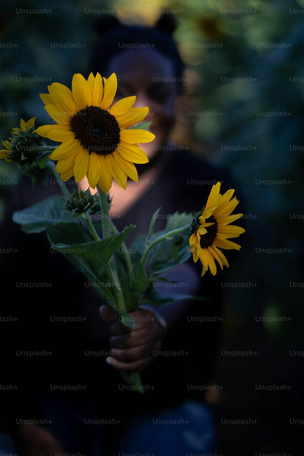 a woman holding a bouquet of sunflowers in her hands