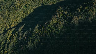 a plane flying over a lush green hillside